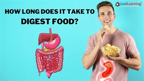 LET'S DIGEST (A GUIDE ON HOW TO DIGEST A .